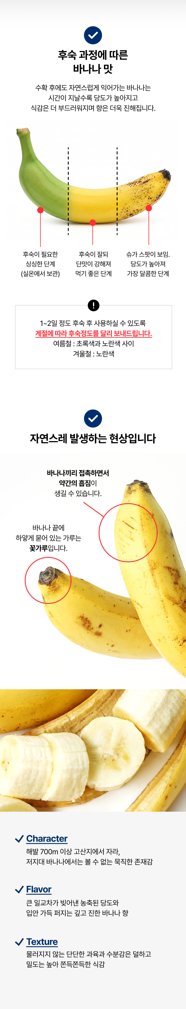 후숙 단계별 바나나 당도 변화와 식감 - 카페용 쮸득쮸득 진한 바나나 향