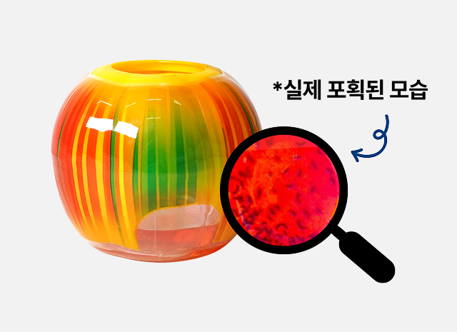 실제 포획 결과 — 용기 하단 유인액에 잡힌 초파리를 확대해 보여주는 사진