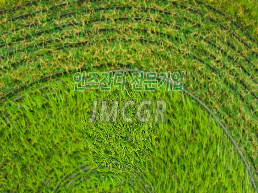 8833e2b3a3472.png
