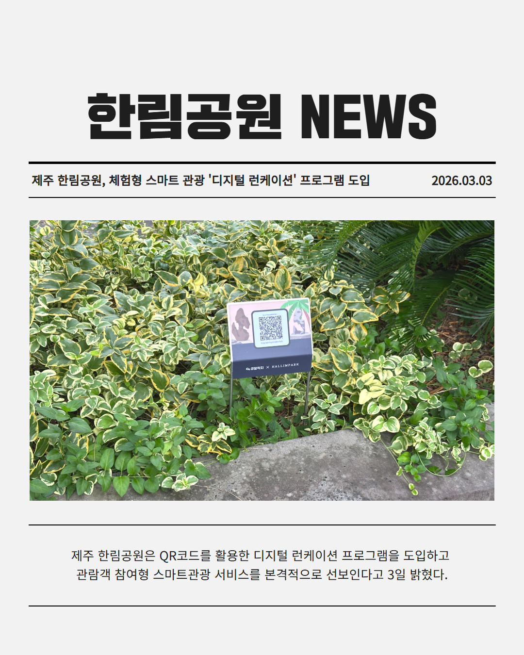 9e1718fe4581f.png