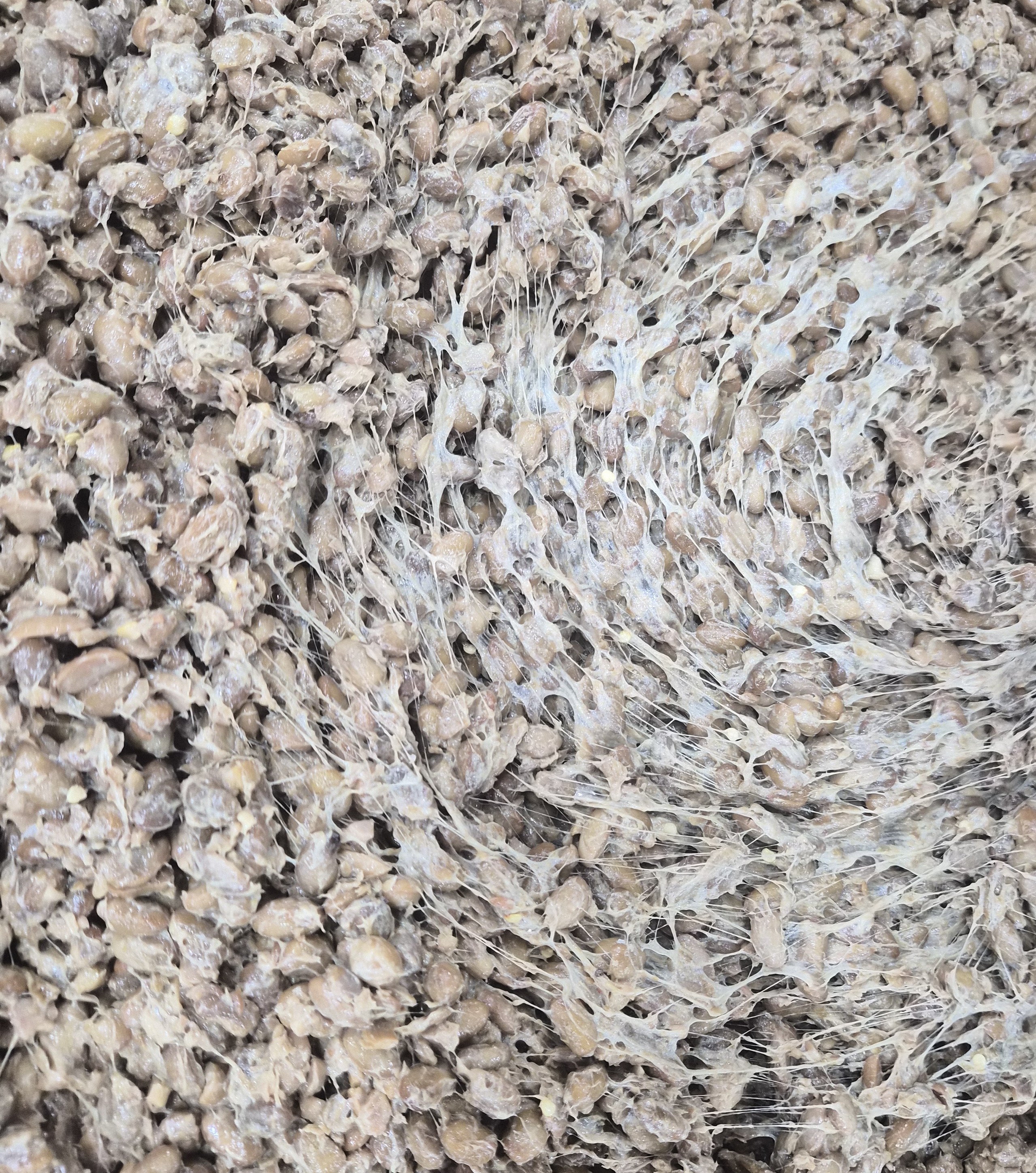 무수촌 청국장 1kg(진공포장)