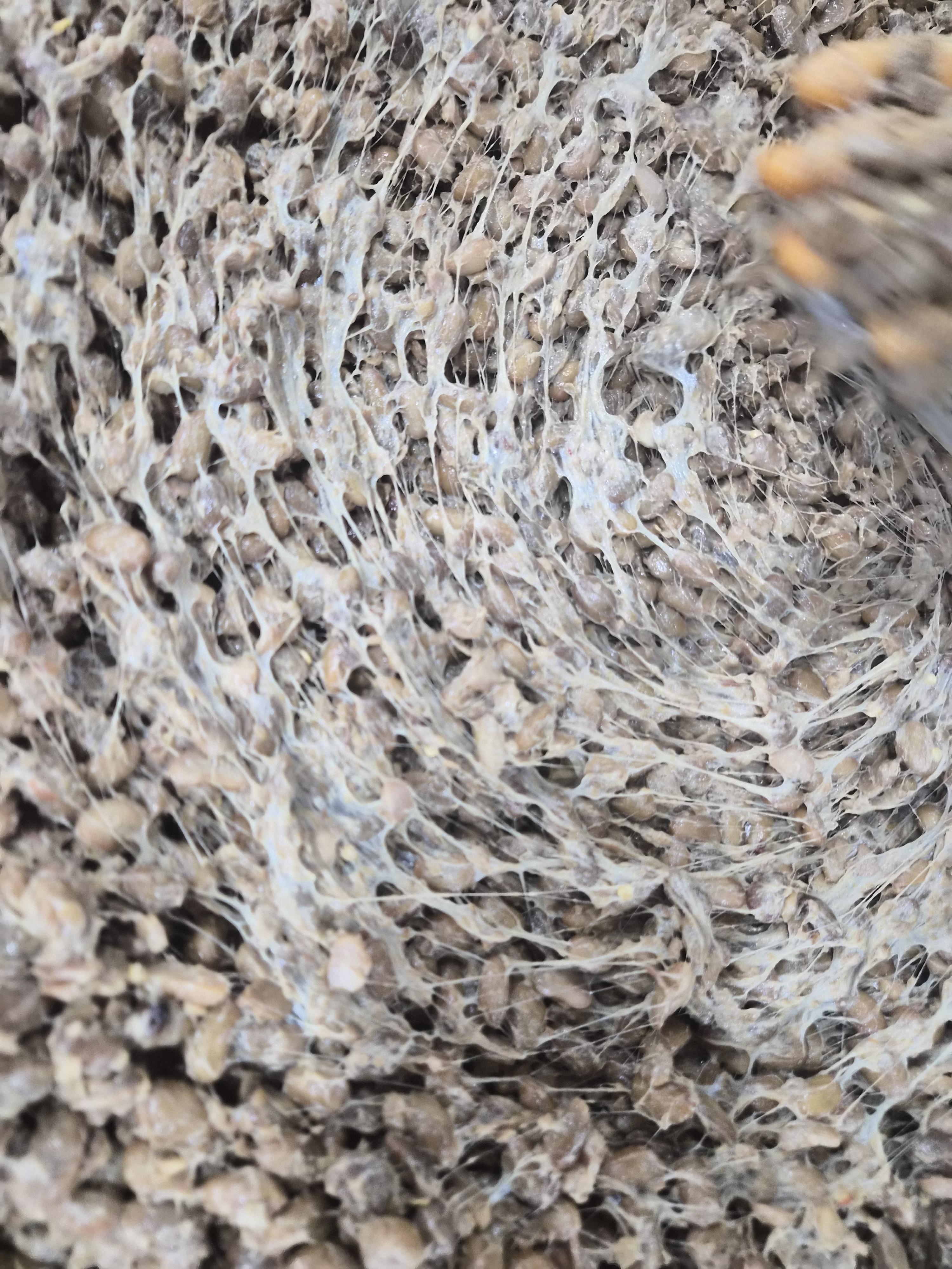 무수촌 청국장 1kg(진공포장)
