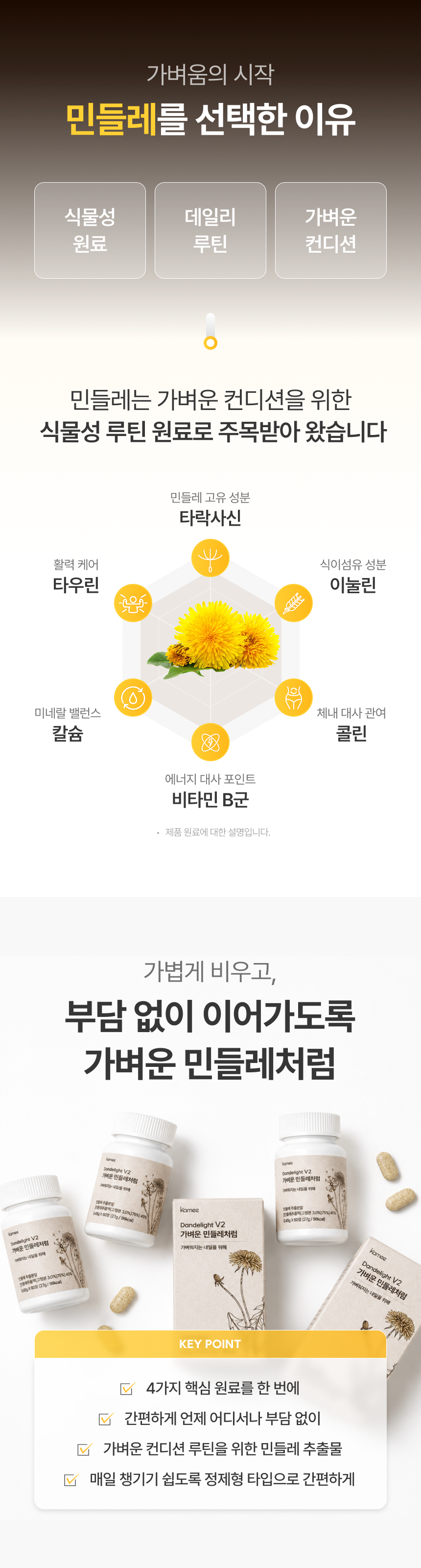 ★[쿠팡,네이버 1등템] 가벼운민들레처럼 자연 소재 민들레 브로멜라인 퀘르세틴 단호박