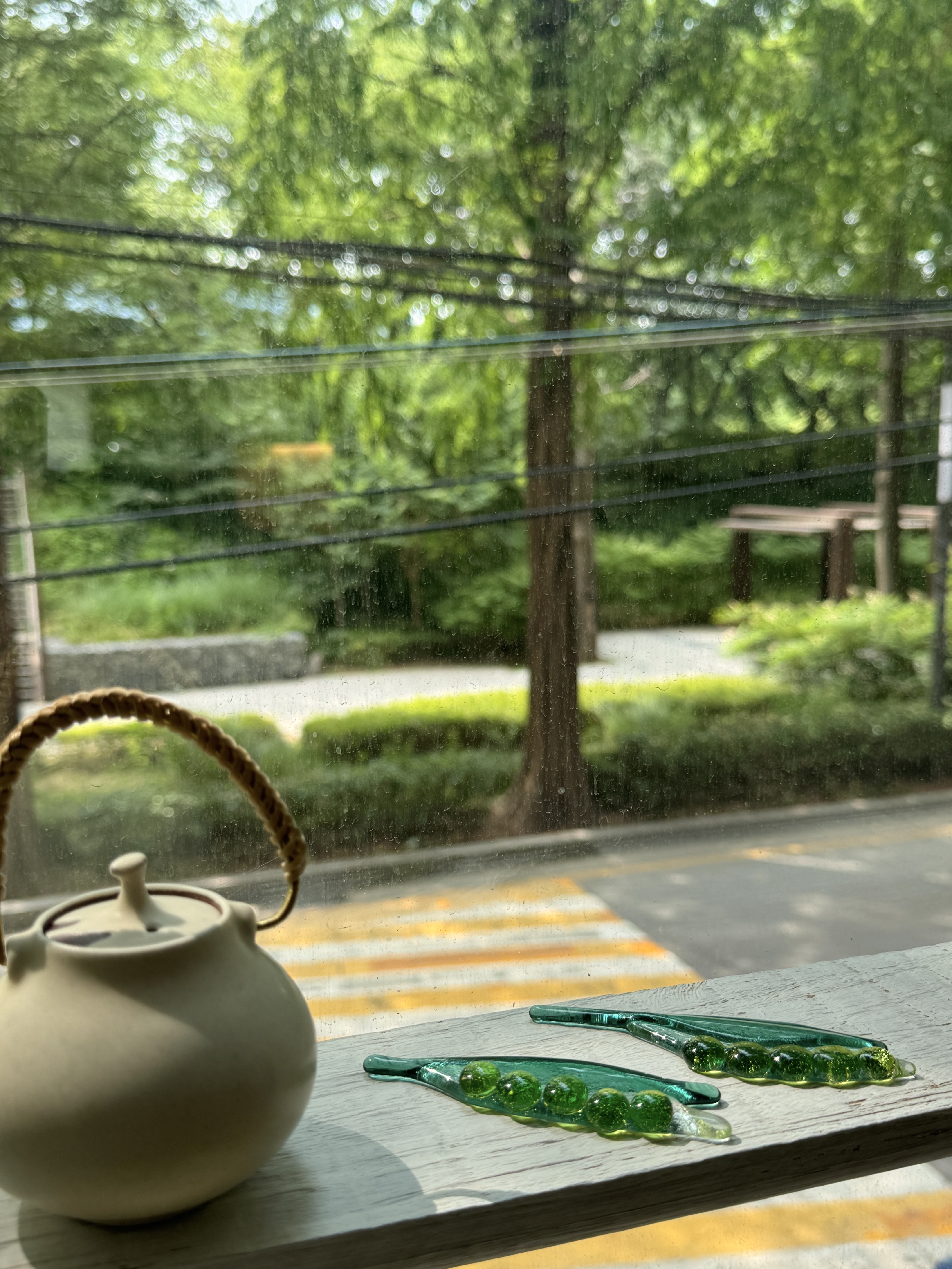 [유리편집] 완두콩