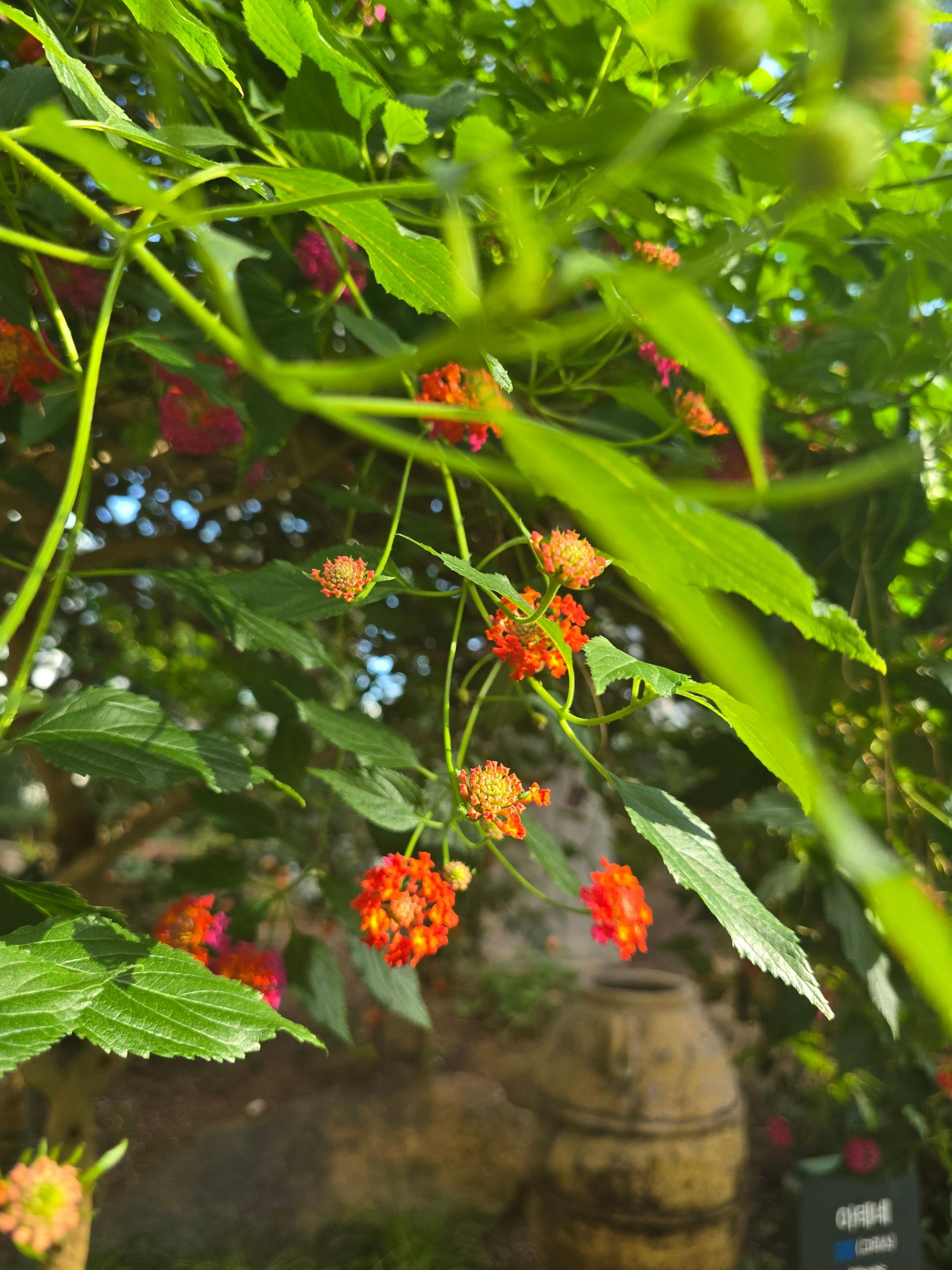 f50b0c7a8a197.jpg