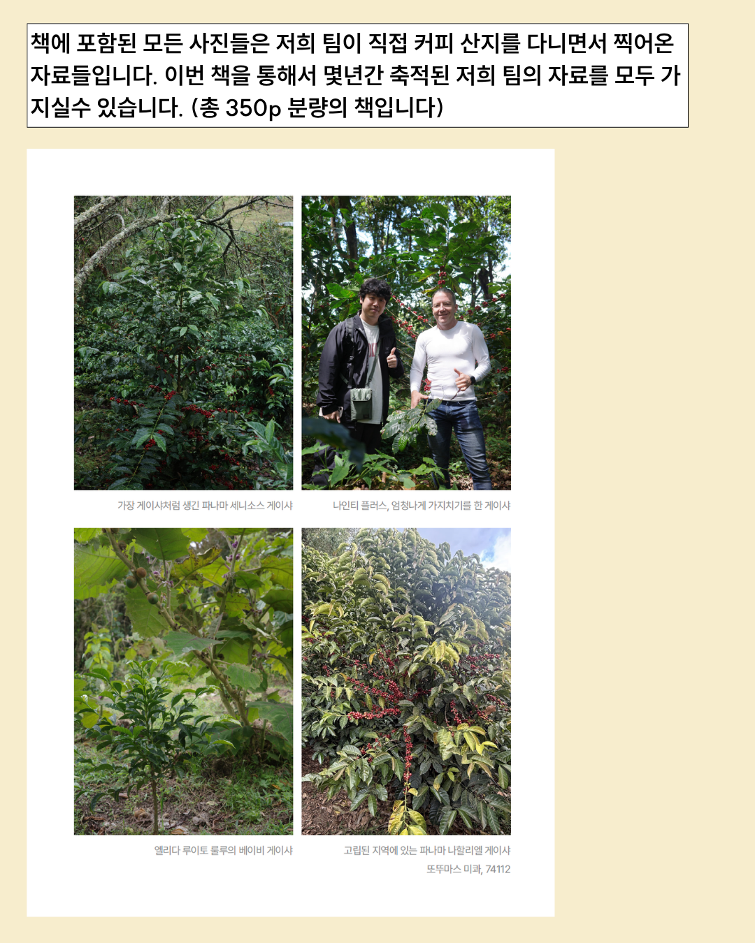 [서적] 커피 공부하는 법