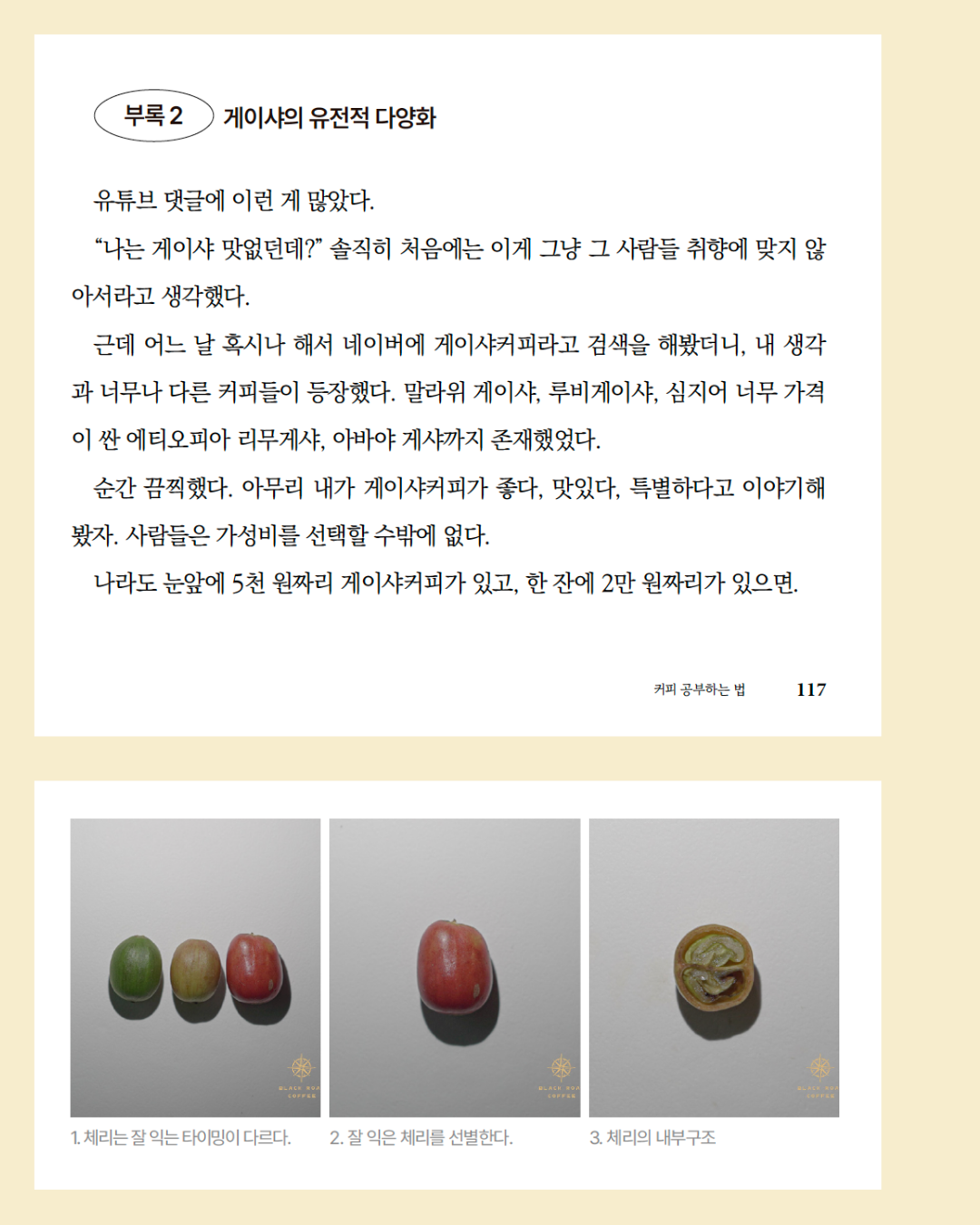 [서적] 커피 공부하는 법