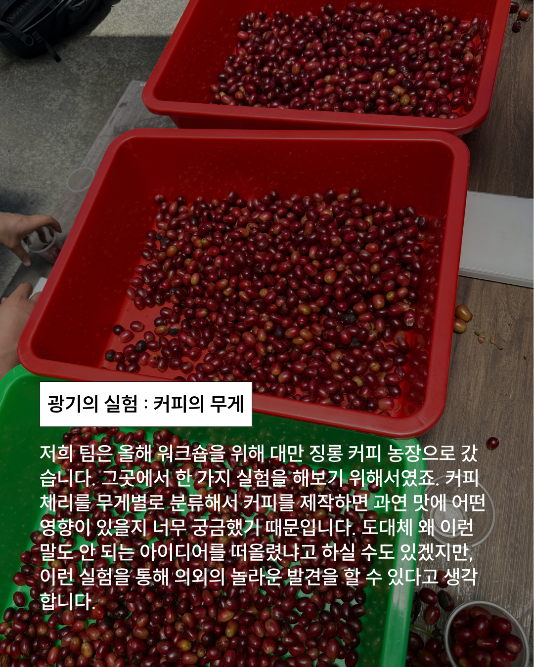 9월 커피전시 : 커피의 무게