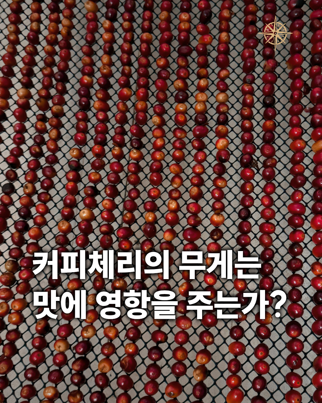 9월 커피전시 : 커피의 무게