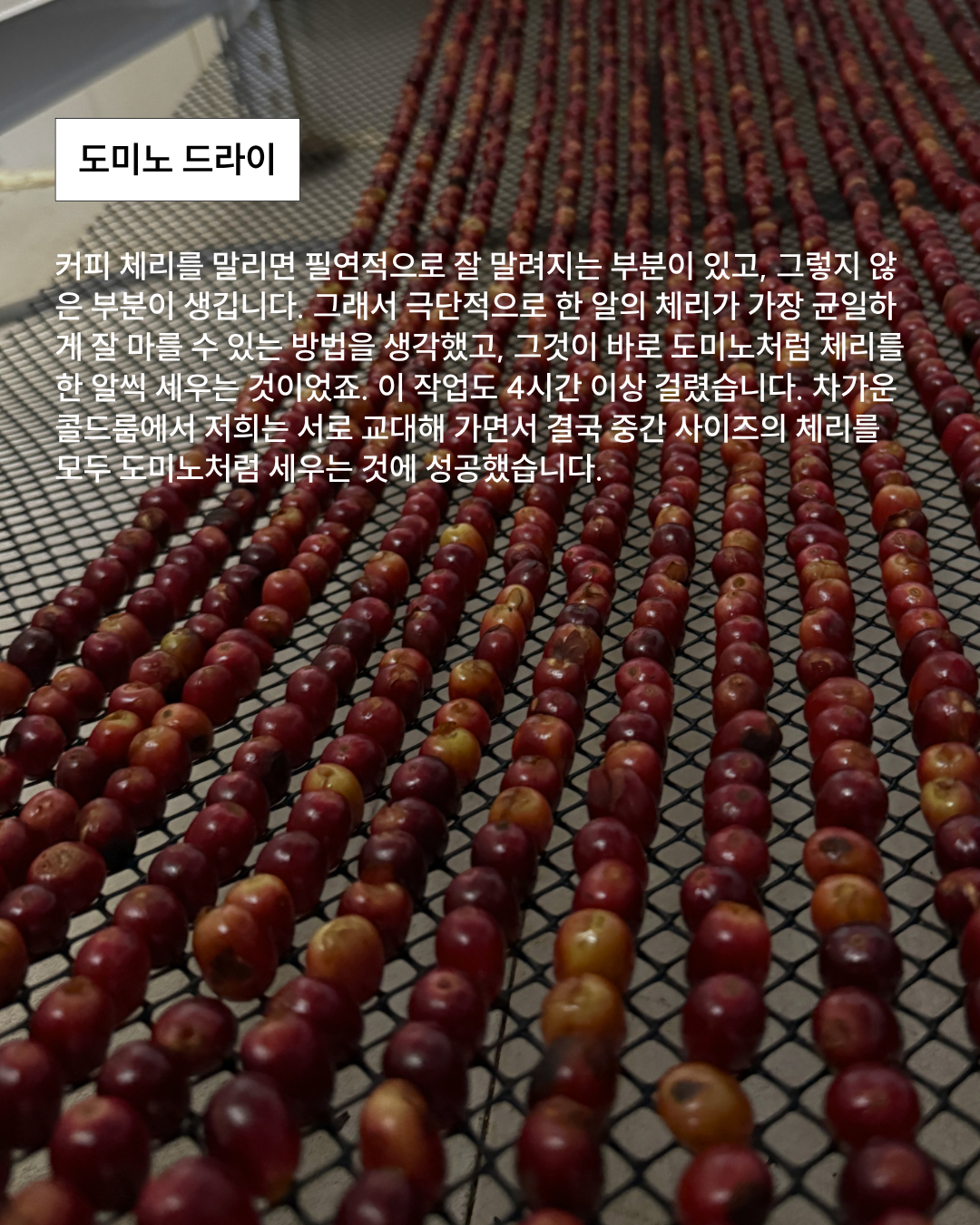 9월 커피전시 : 커피의 무게