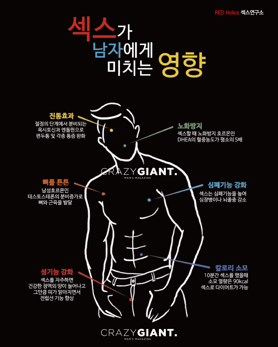 Love]섹스가 우리에게 미치는 영향 : 기사 | 크레이지 자이언트 매거진