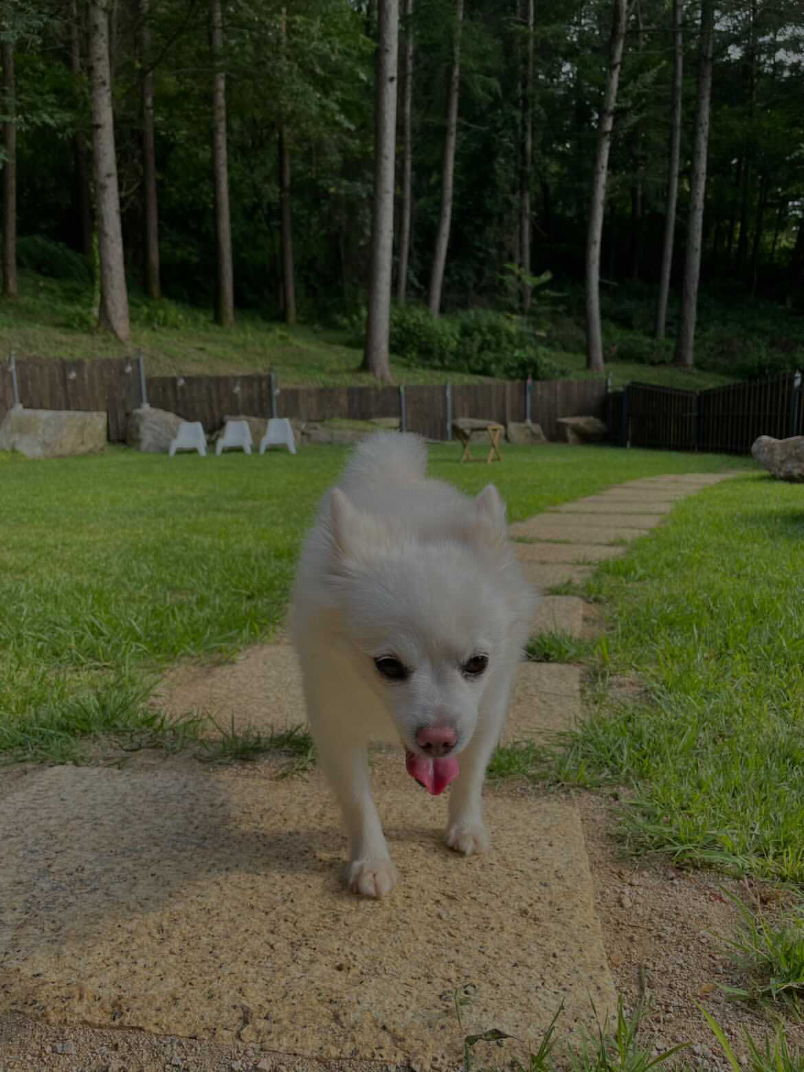 48f0fdd59441c.jpeg