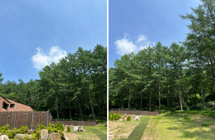 d61009d781371.png