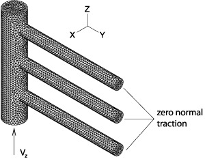 manifold-mesh.gif