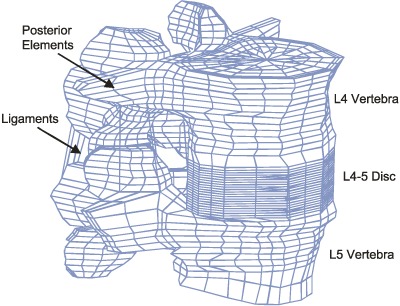 nat_fig1.gif