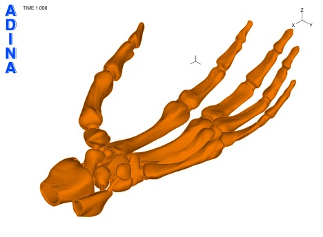 stl.gif