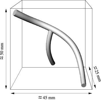 coronary_fig1.jpg
