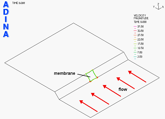 ef21c5416dede.gif