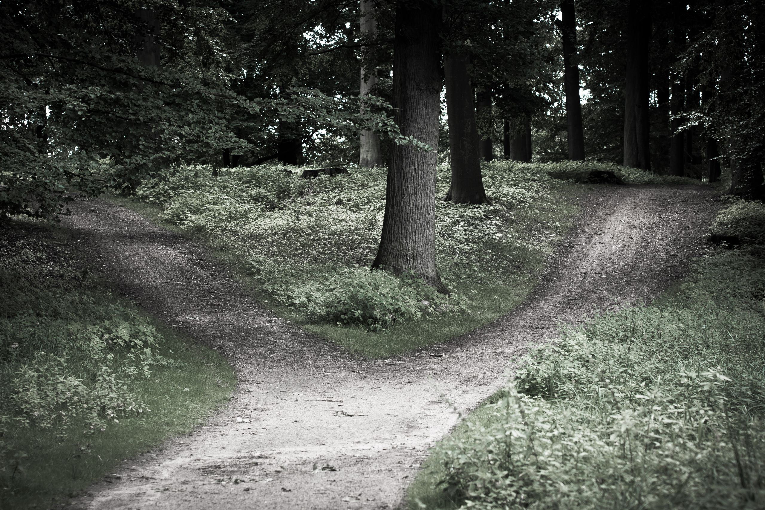 253c4ef50ae43.jpg