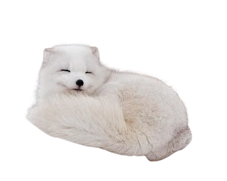 6f690005155a1.png