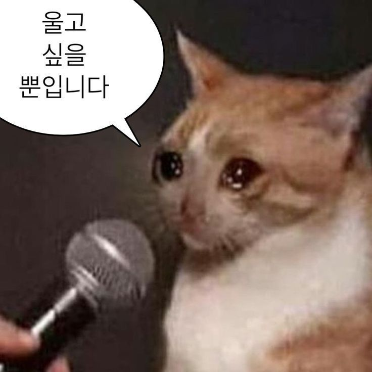 c9455c0202bde.png