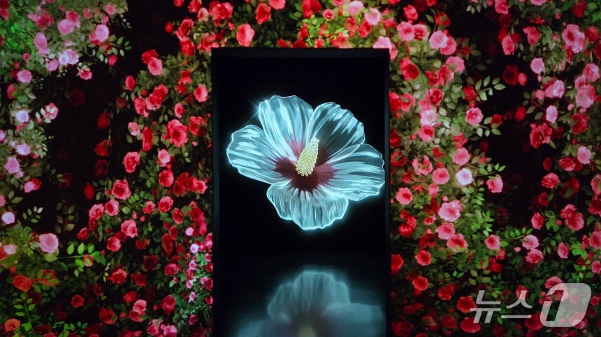 d062fcf371da6.jpg