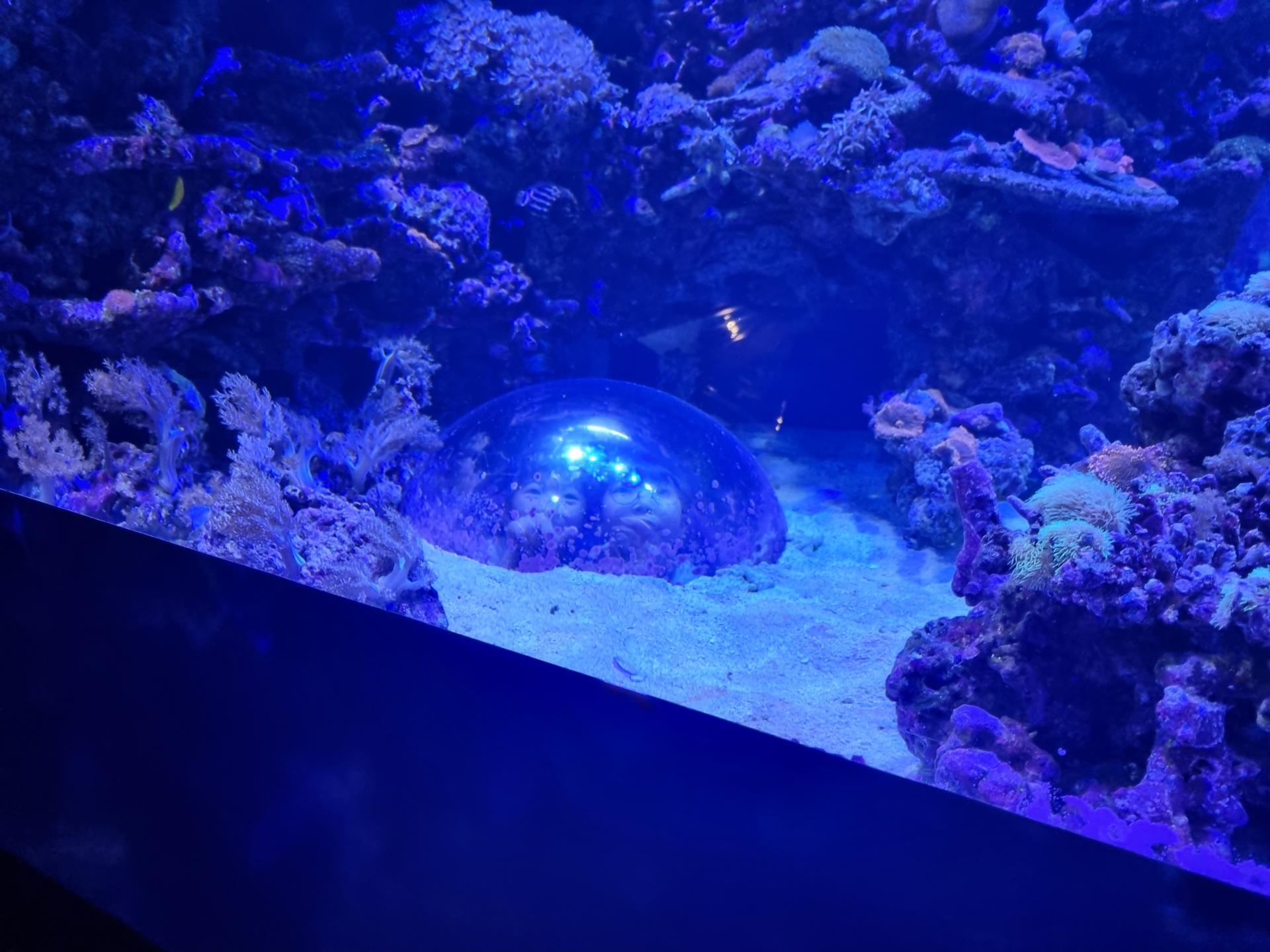 1c6f7c9bbc60c.jpg