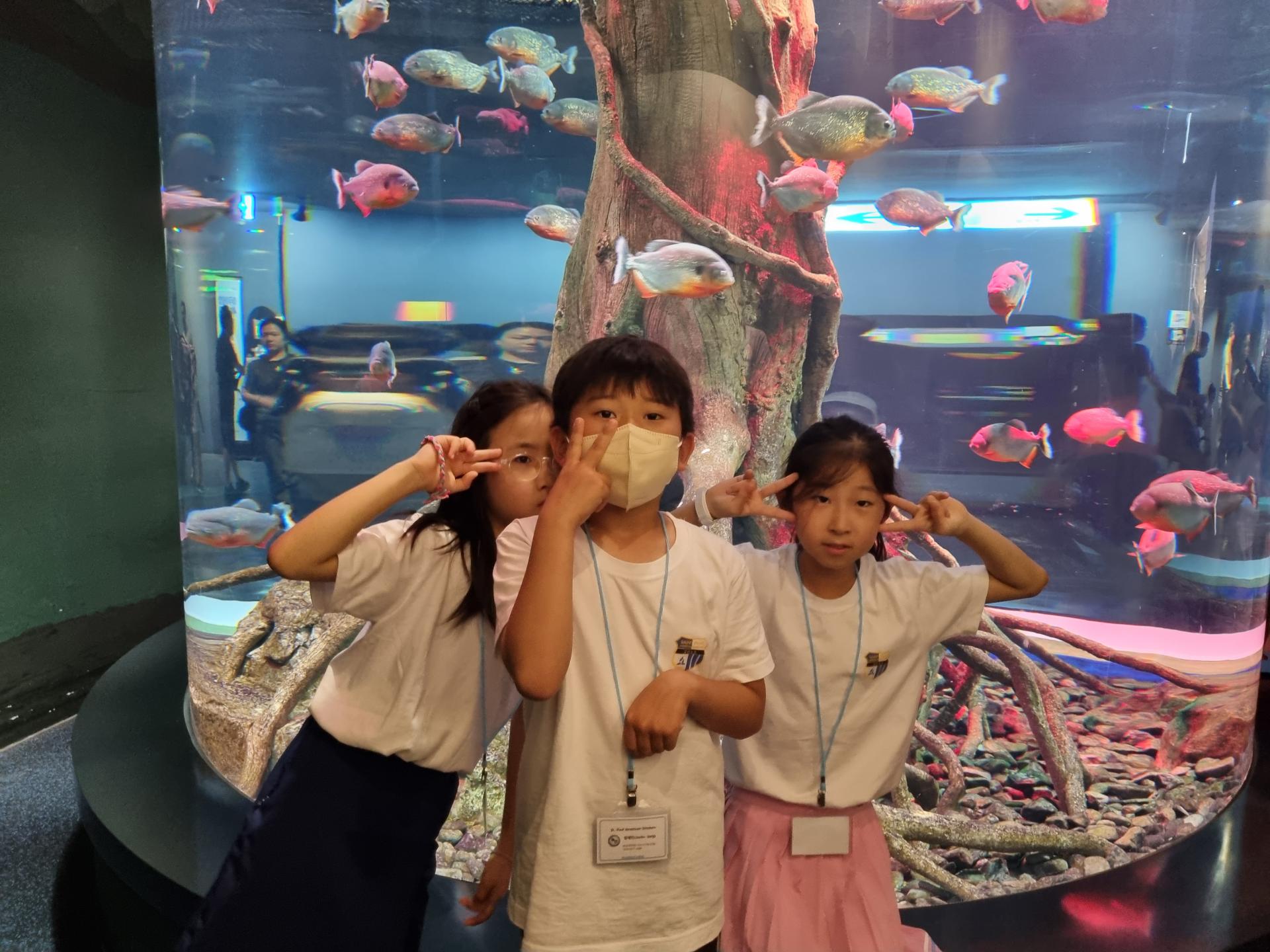 5fd672d8b1436.jpg