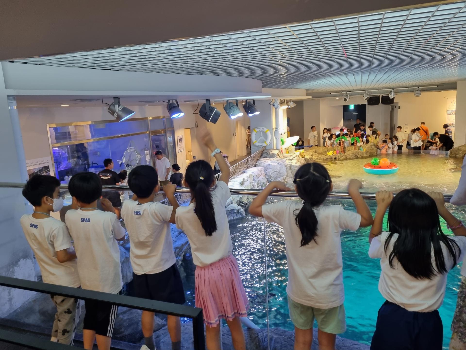 82f5602f5d8e9.jpg