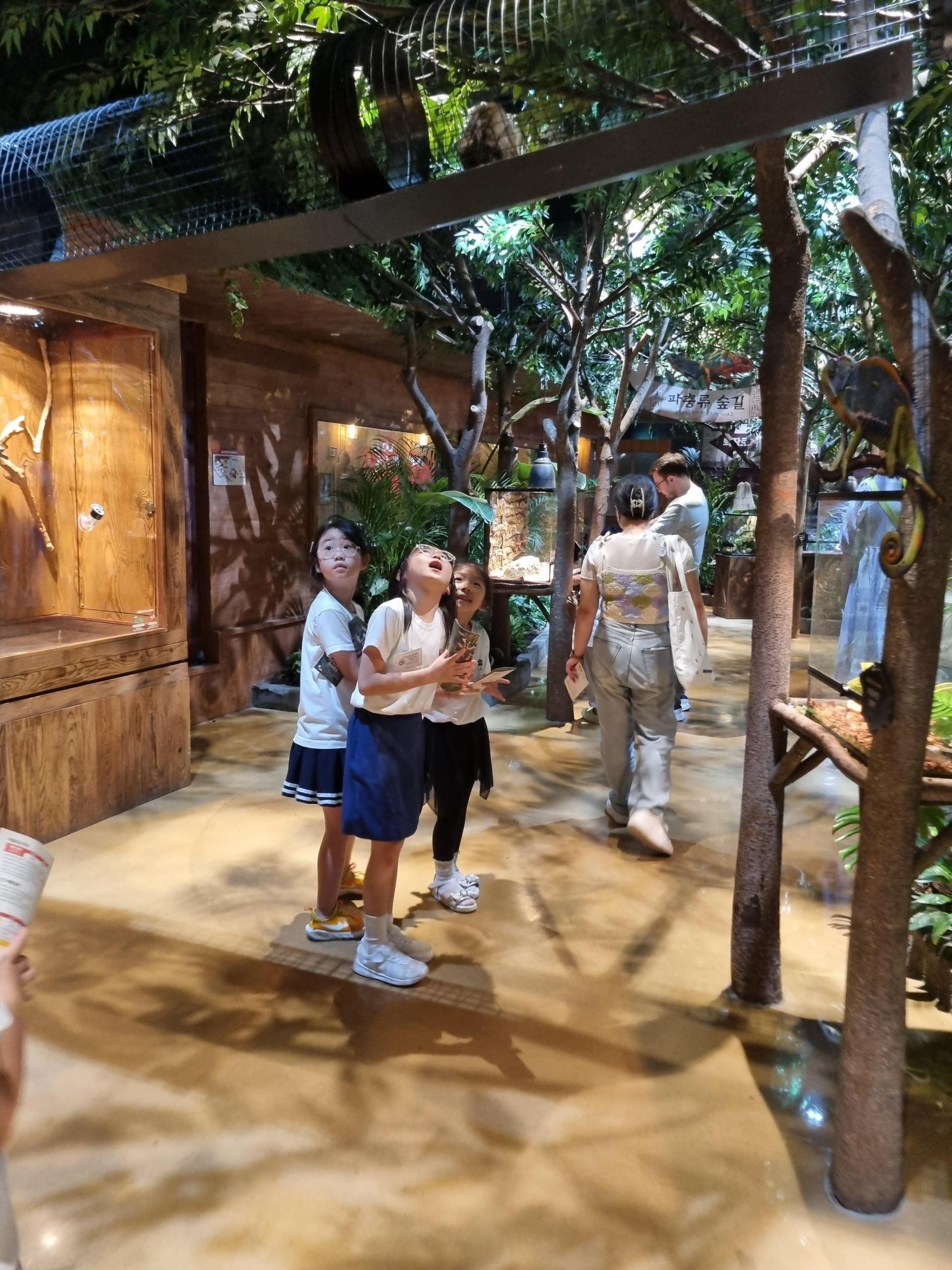 b6f6137ad22a6.jpg