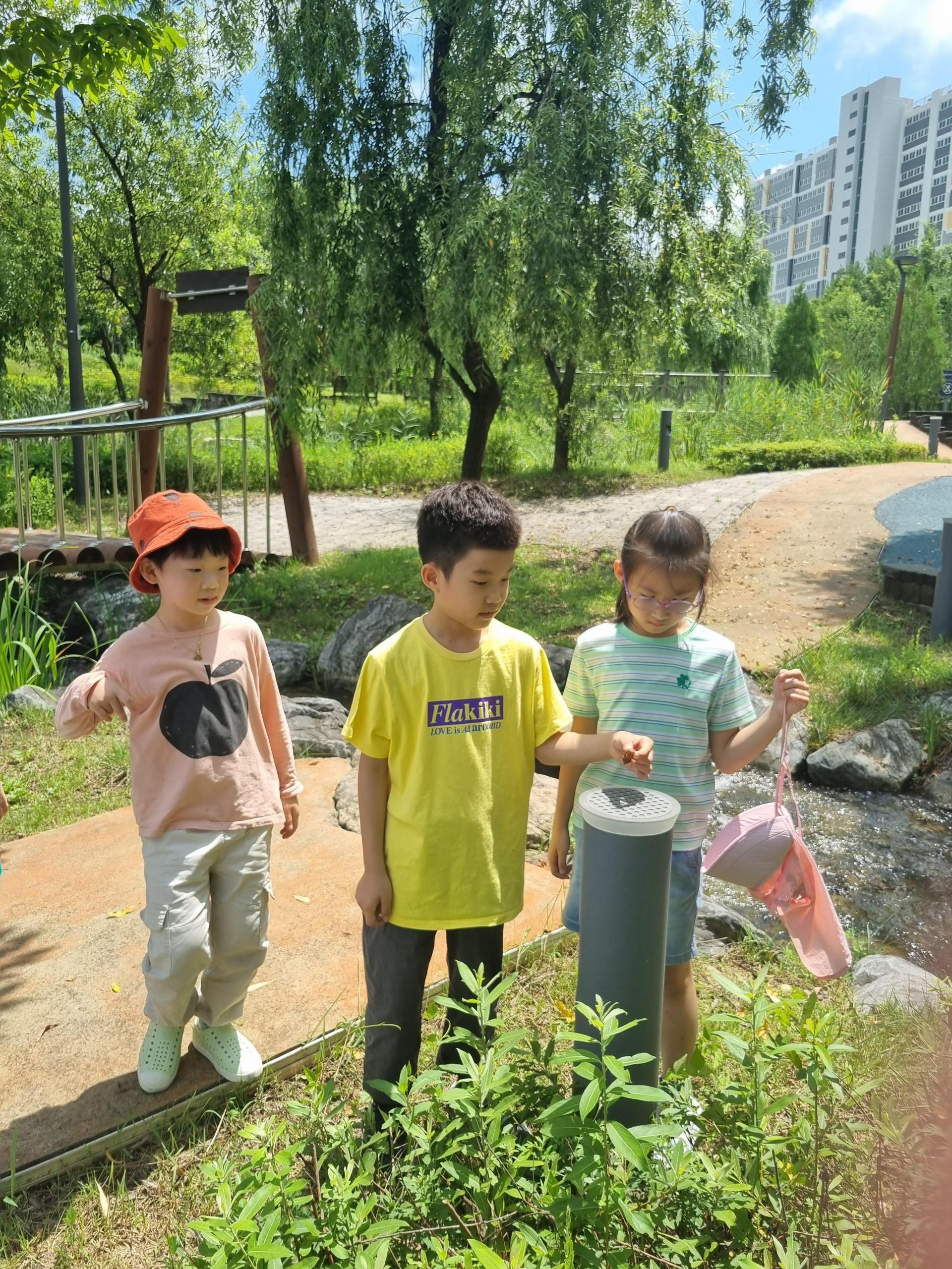 c03404dd20358.jpg