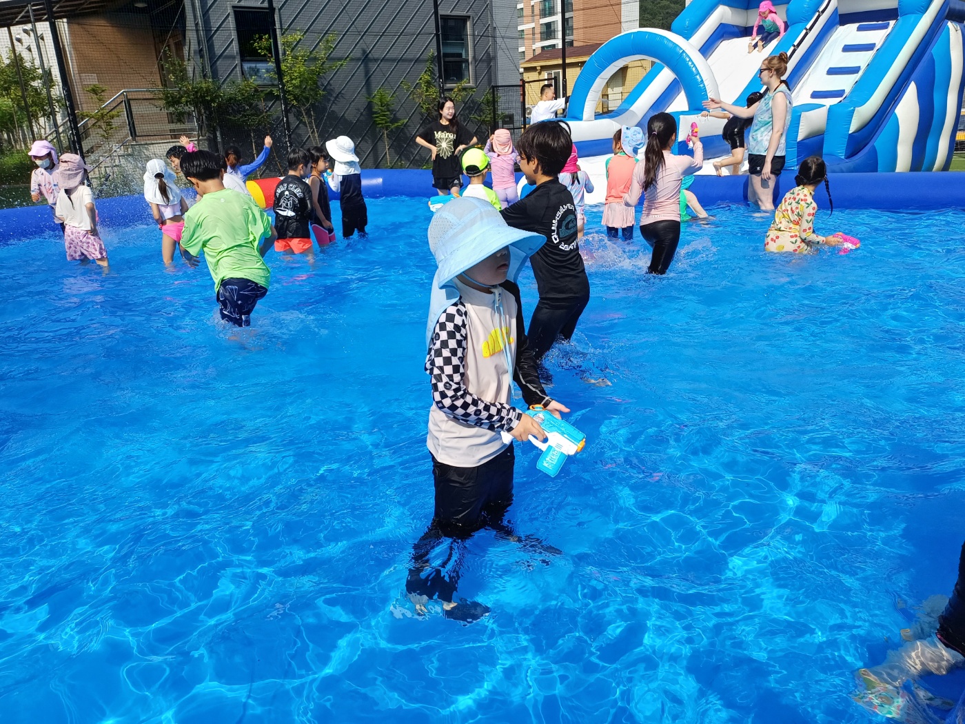 c2ed23717d0d5.jpg