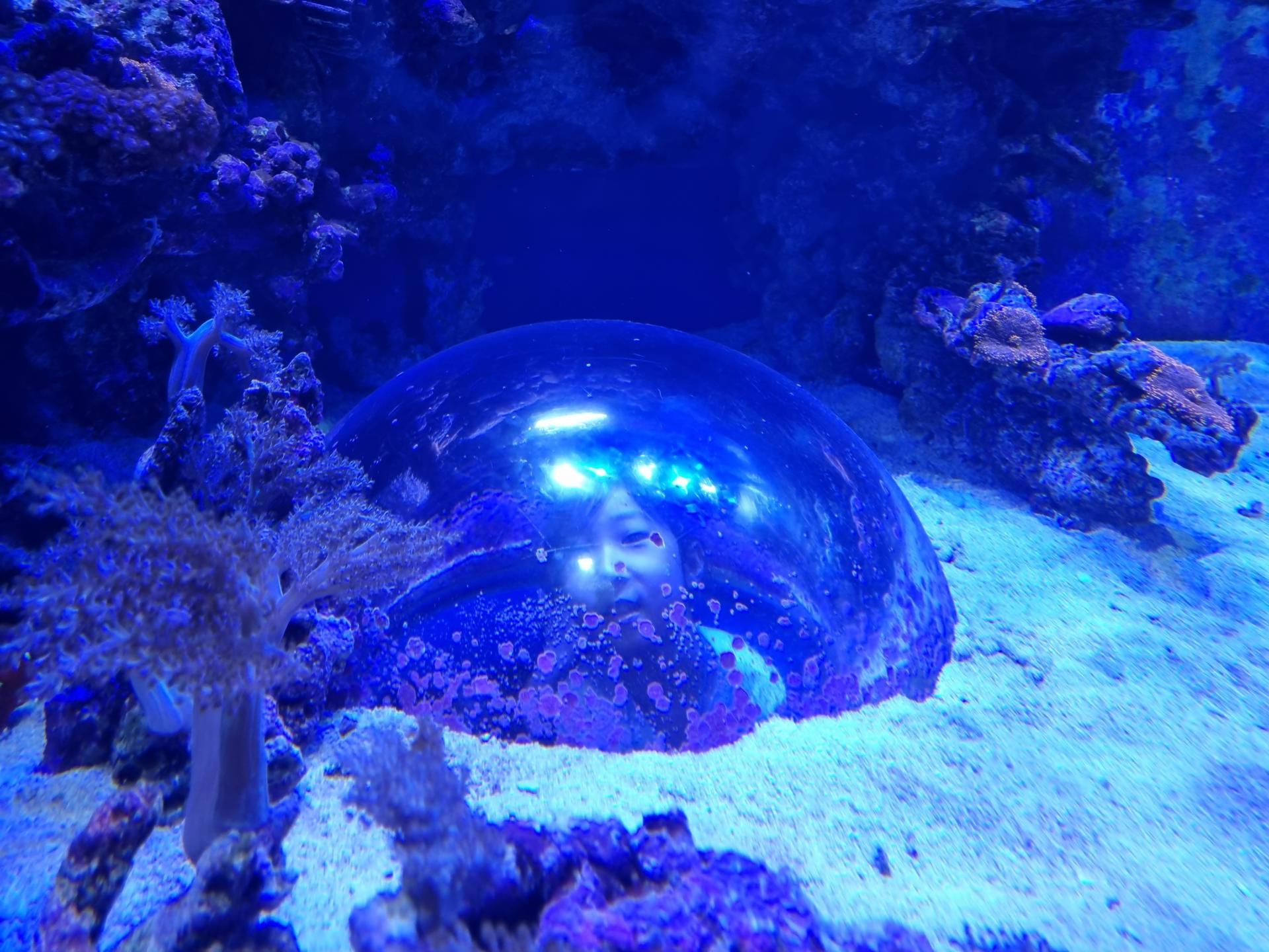 e371c83f791b8.jpg