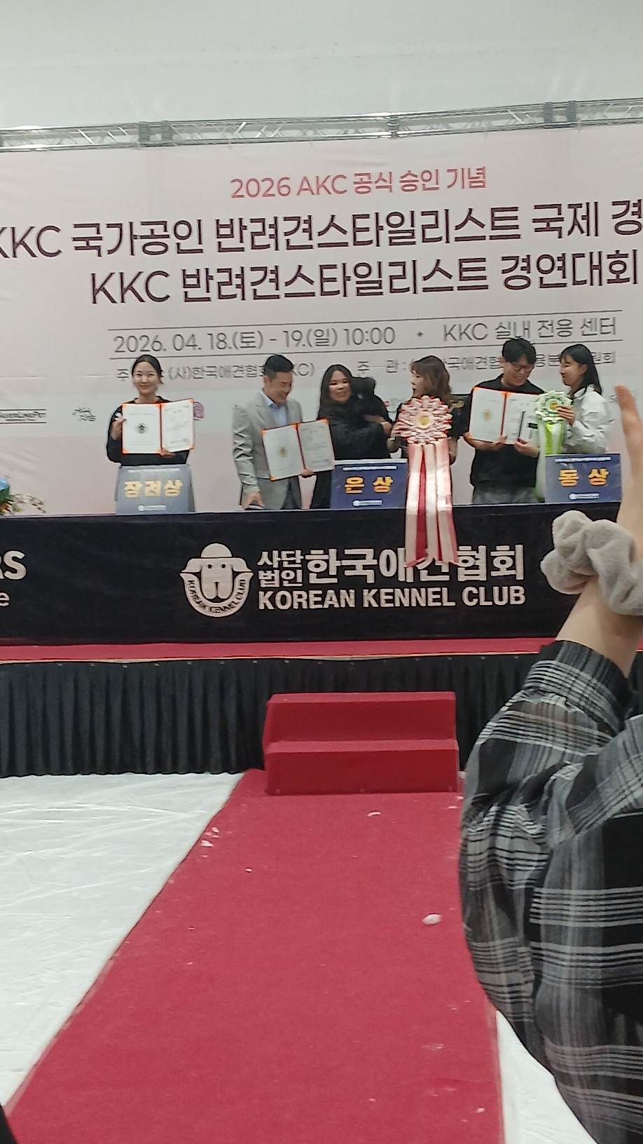 c6133804653da.jpg