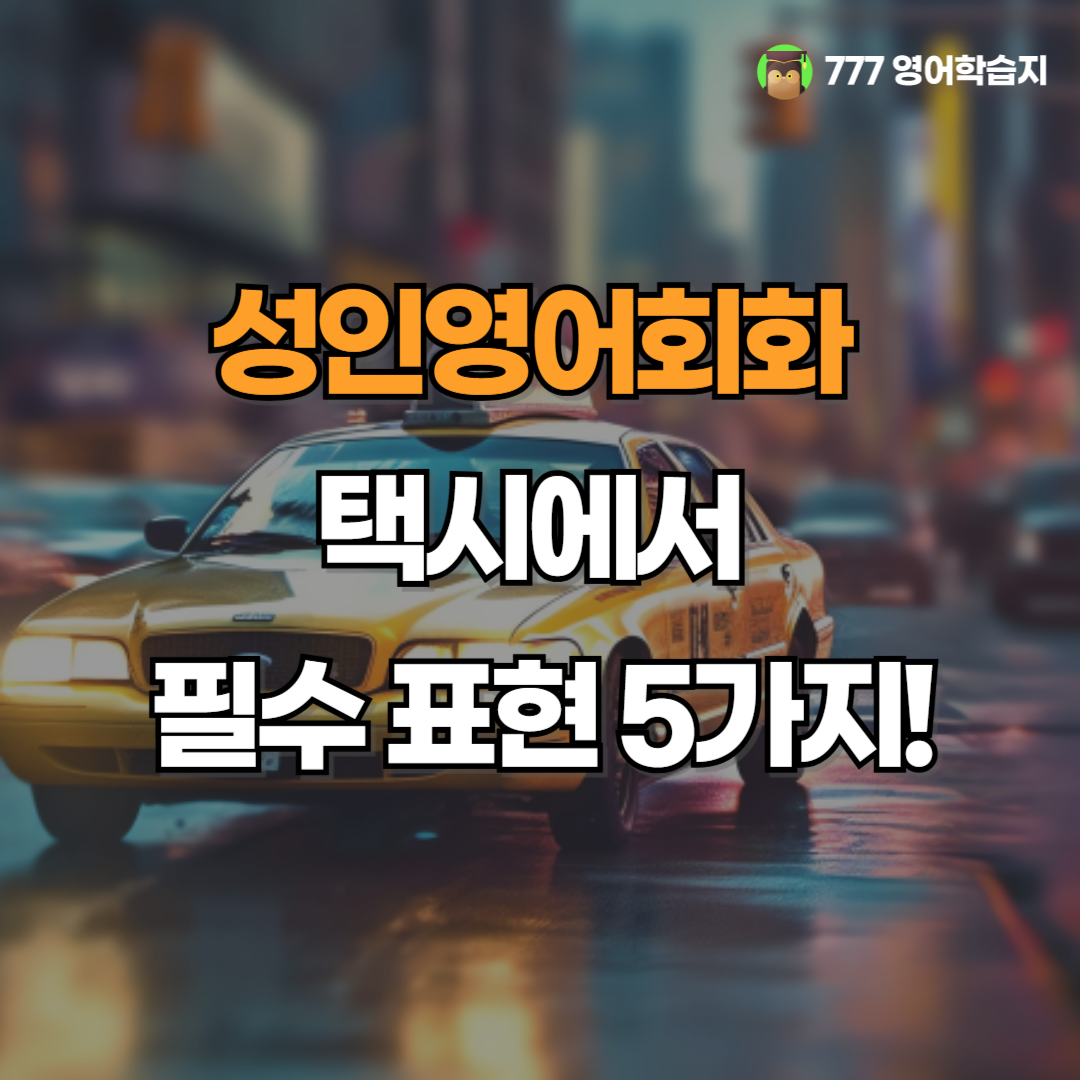 9981c11c505bd.png