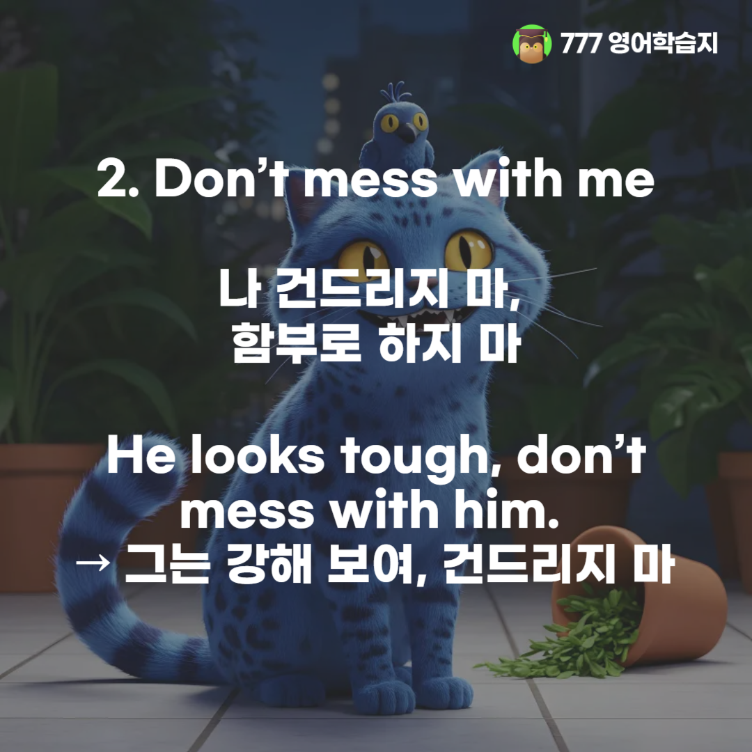 a57bff685d801.png