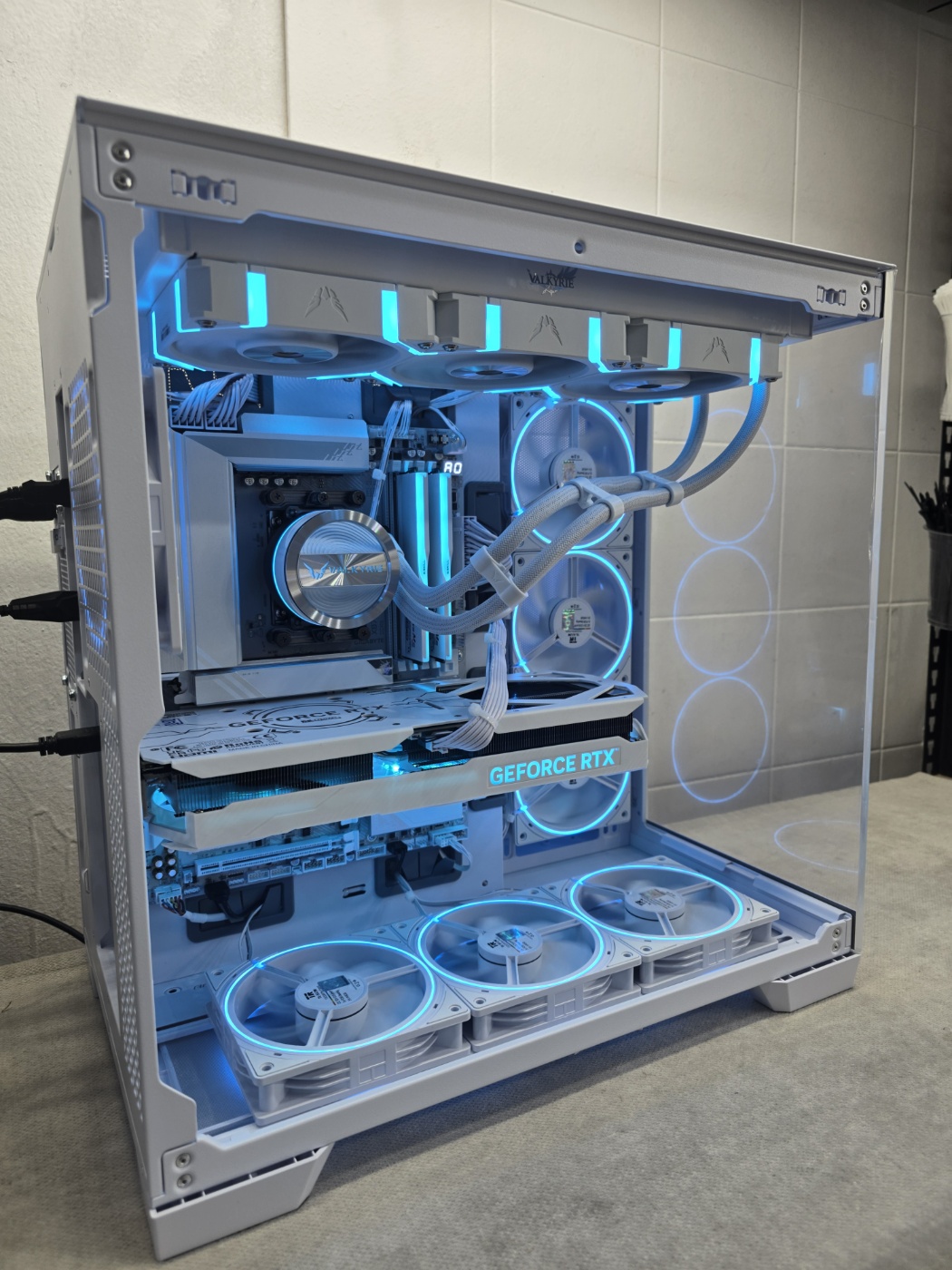 350a5e16eb2ae.jpg