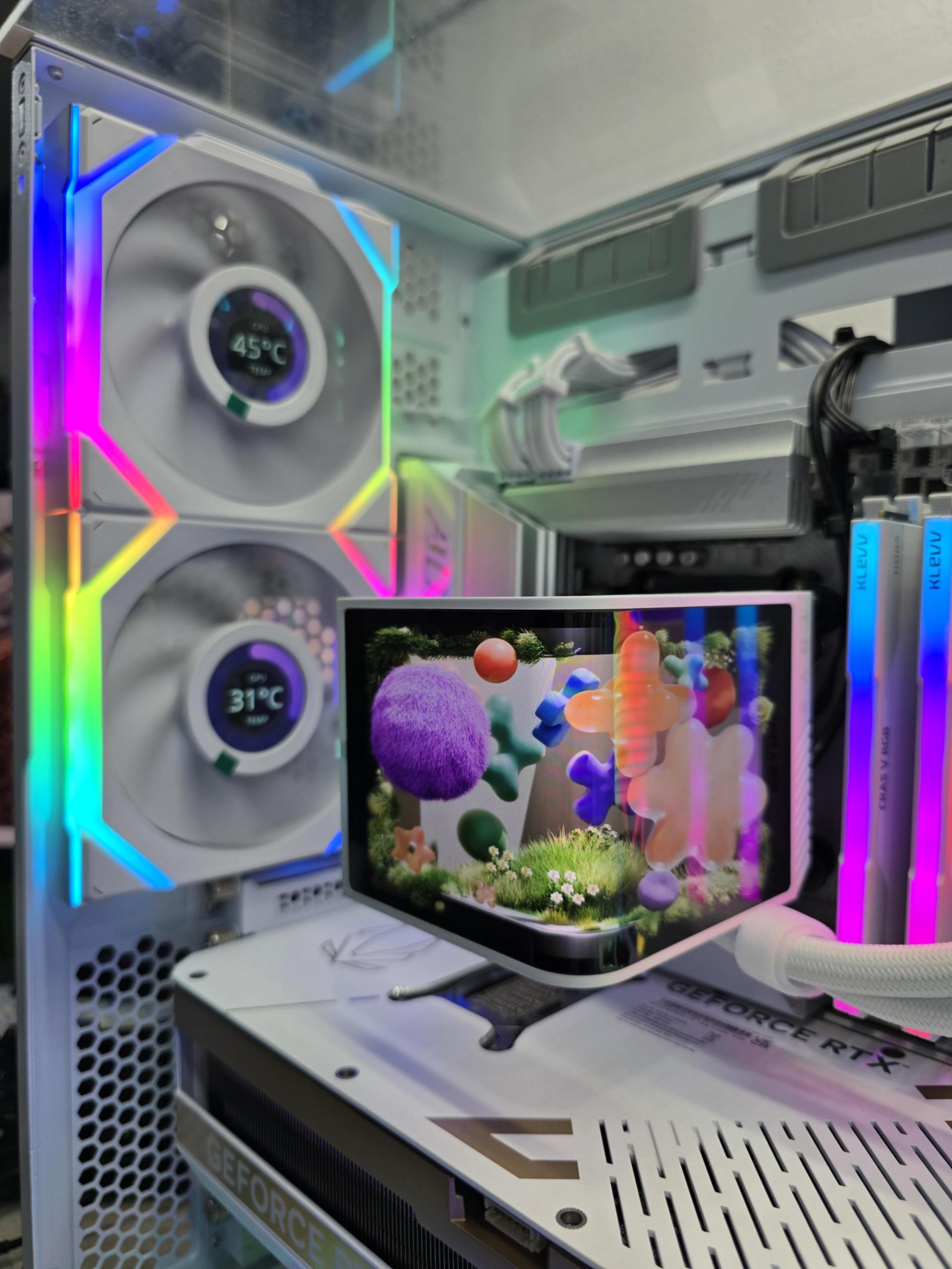 bb544c965e6eb.jpg