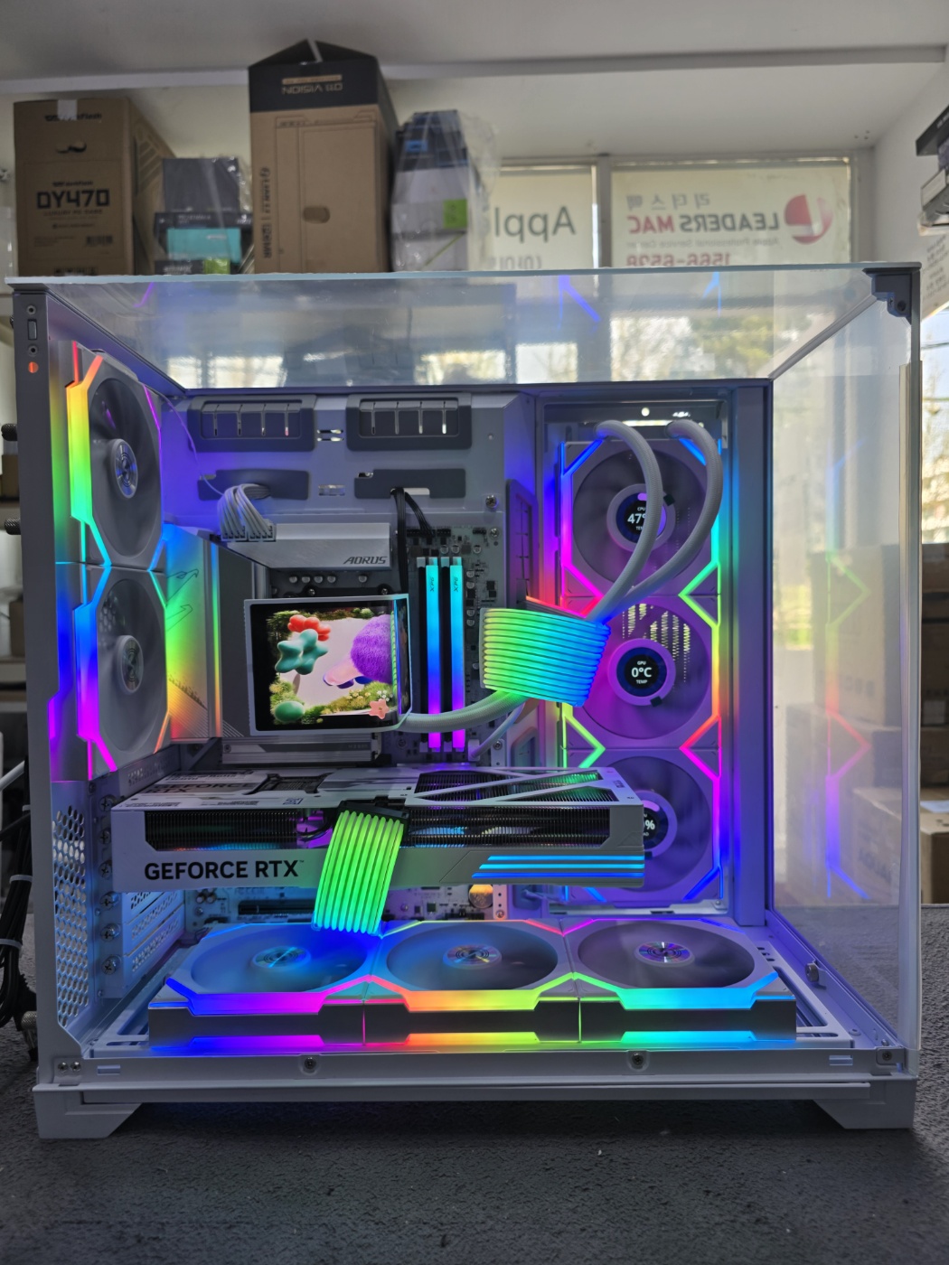 f8bd0116805b1.jpg