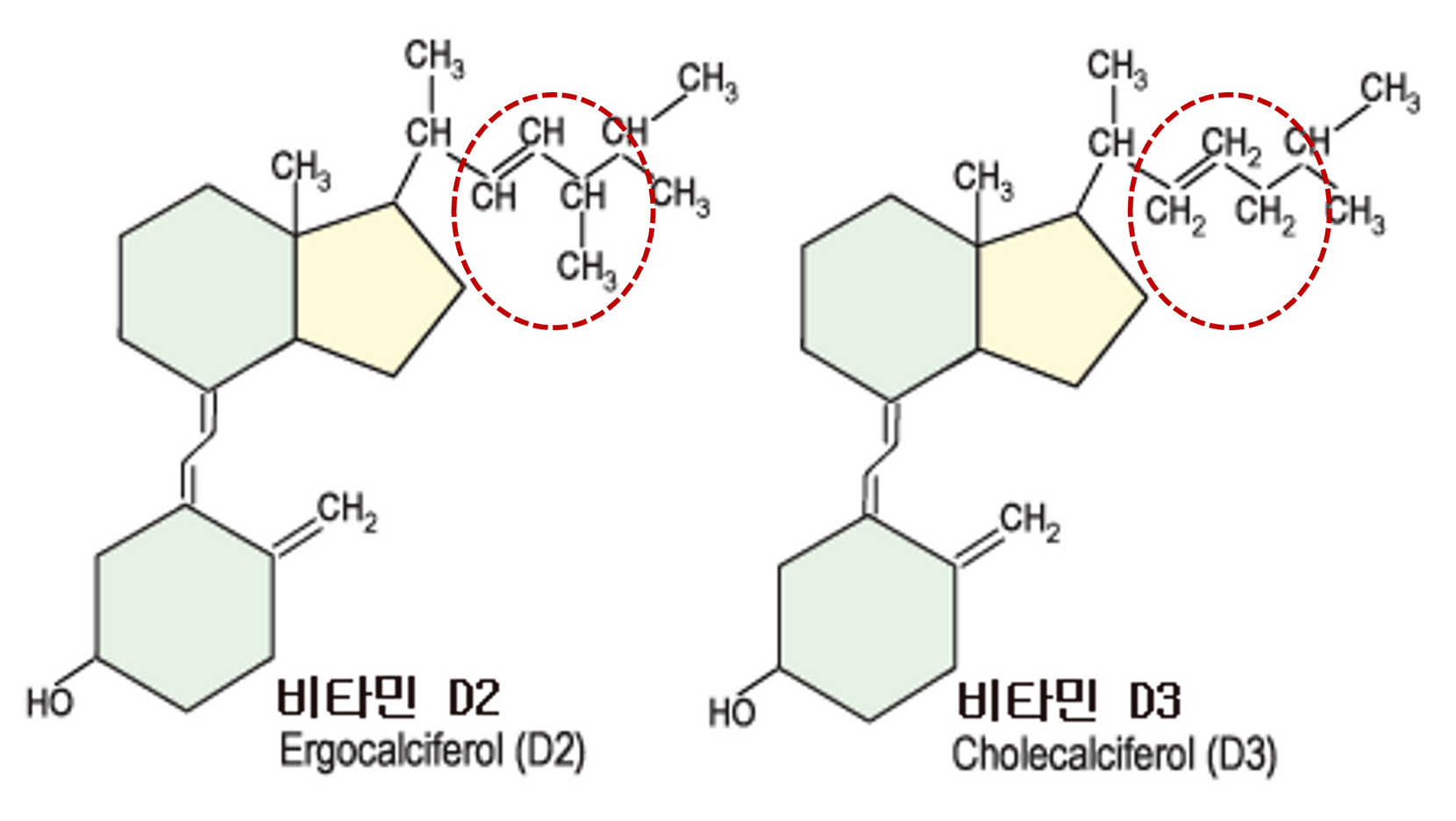 비타민D2, 비타민D3