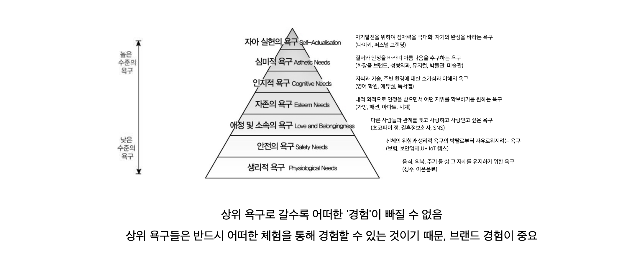 1d2548a4950a9.png