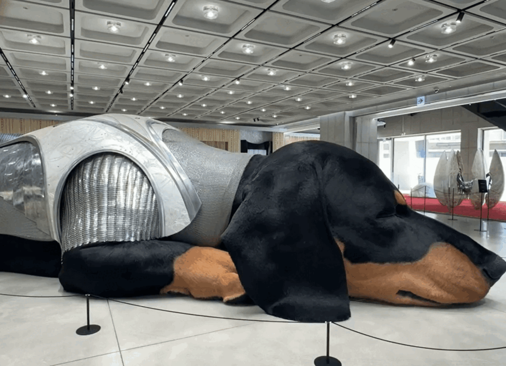 fa7bd34ae1c60.gif