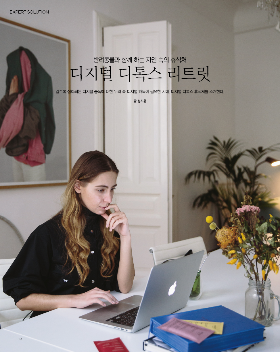 a79d166026ff3.png