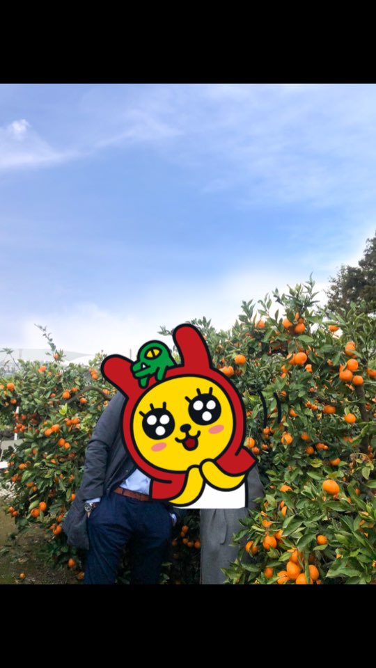15bcf01cc2f66.jpeg
