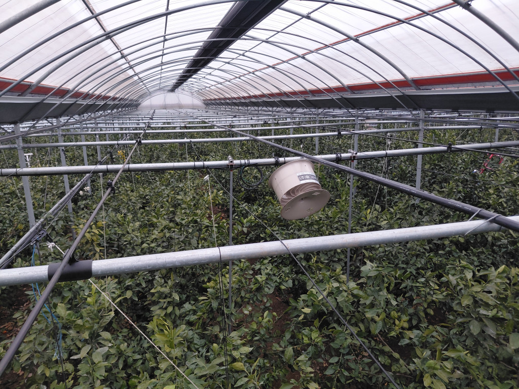 234642761f97c.jpg