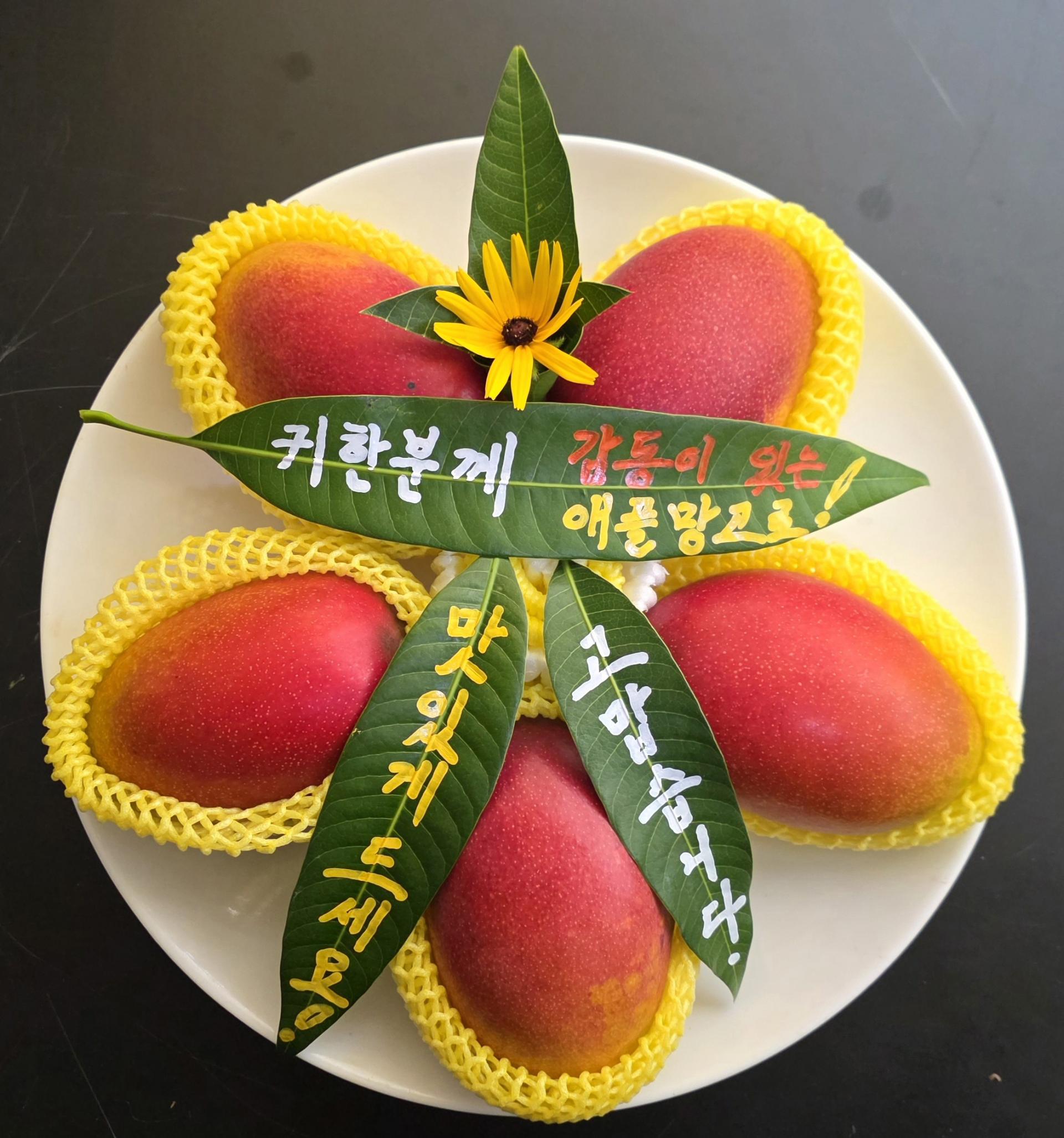 애플망고