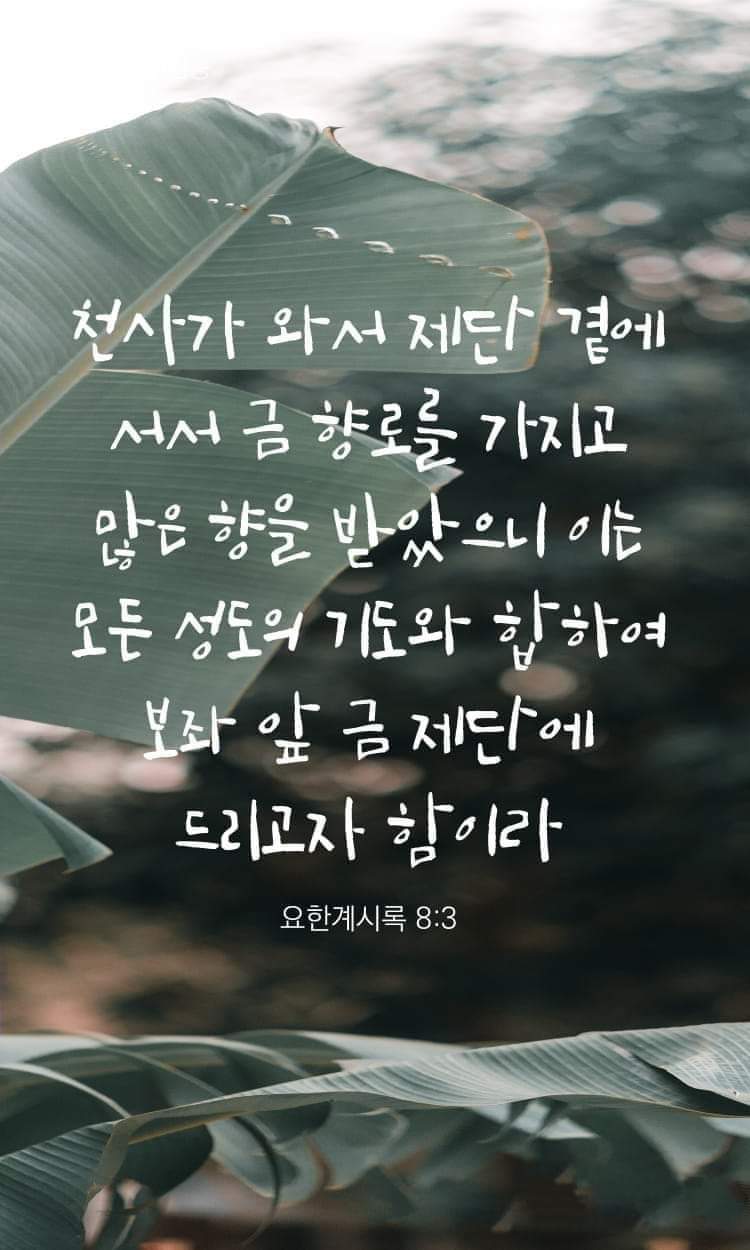 02cc01c0f87d1.jpg