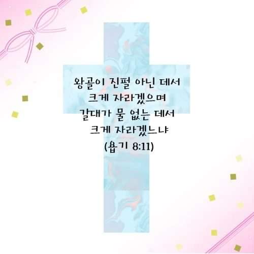 04d87f05300d1.jpg