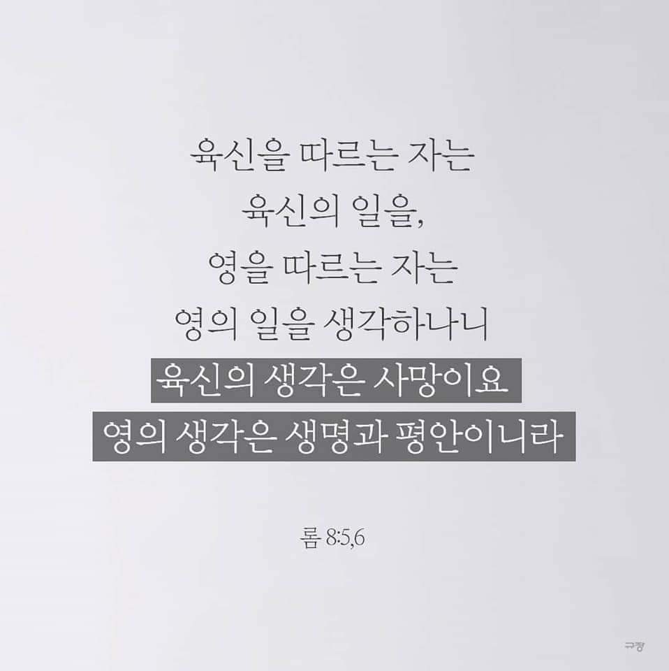 05154ffd1535c.jpg
