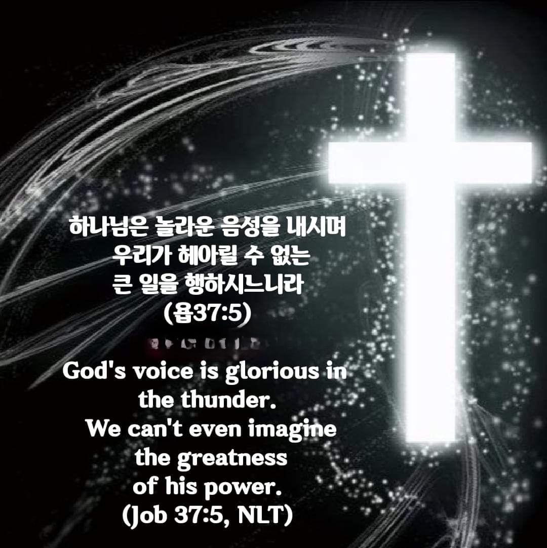 05e40d5425c76.jpg
